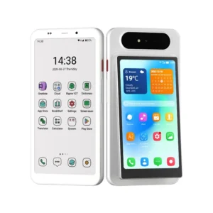 Bigme HiBreak Dual 5G smartphone showing front e-ink display and back secondary LCD screen.